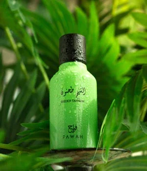 SHIEKH TAHNOUN